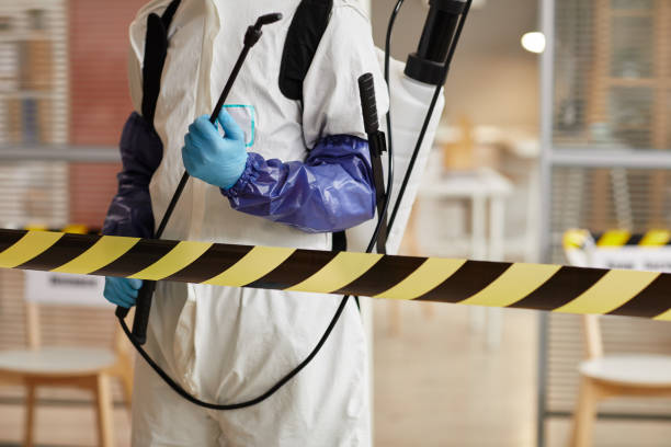 Professional Sewage Cleanup technician working in Quincy, OH